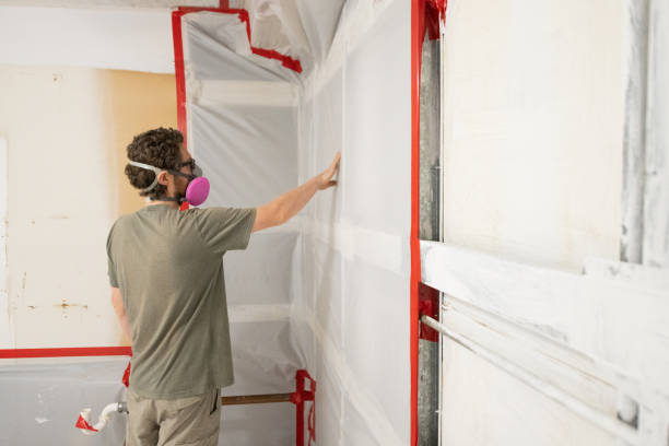 Best Crawl Space Mold Remediation  in New Bedford, MA