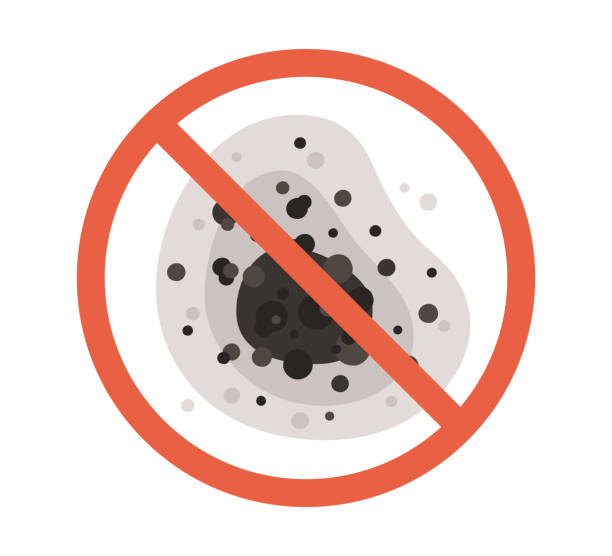 New Bedford, MA Mold Removal Company