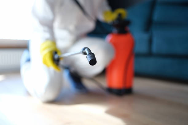 Best Commercial Mold Inspection  in New Bedford, MA