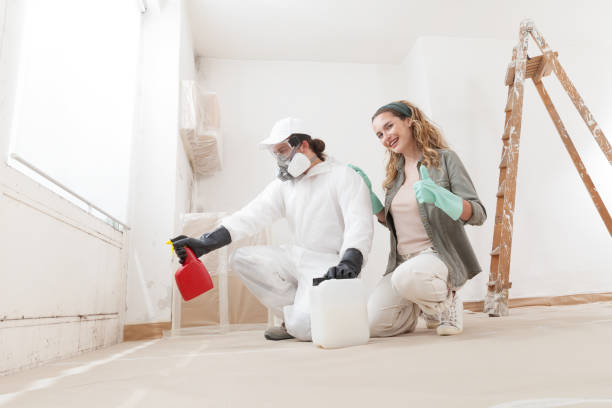 Best Comprehensive Air Testing for Mold Contaminants  in New Bedford, MA