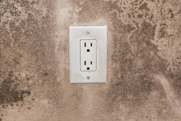 Best Forensic Mold Investigation  in New Bedford, MA